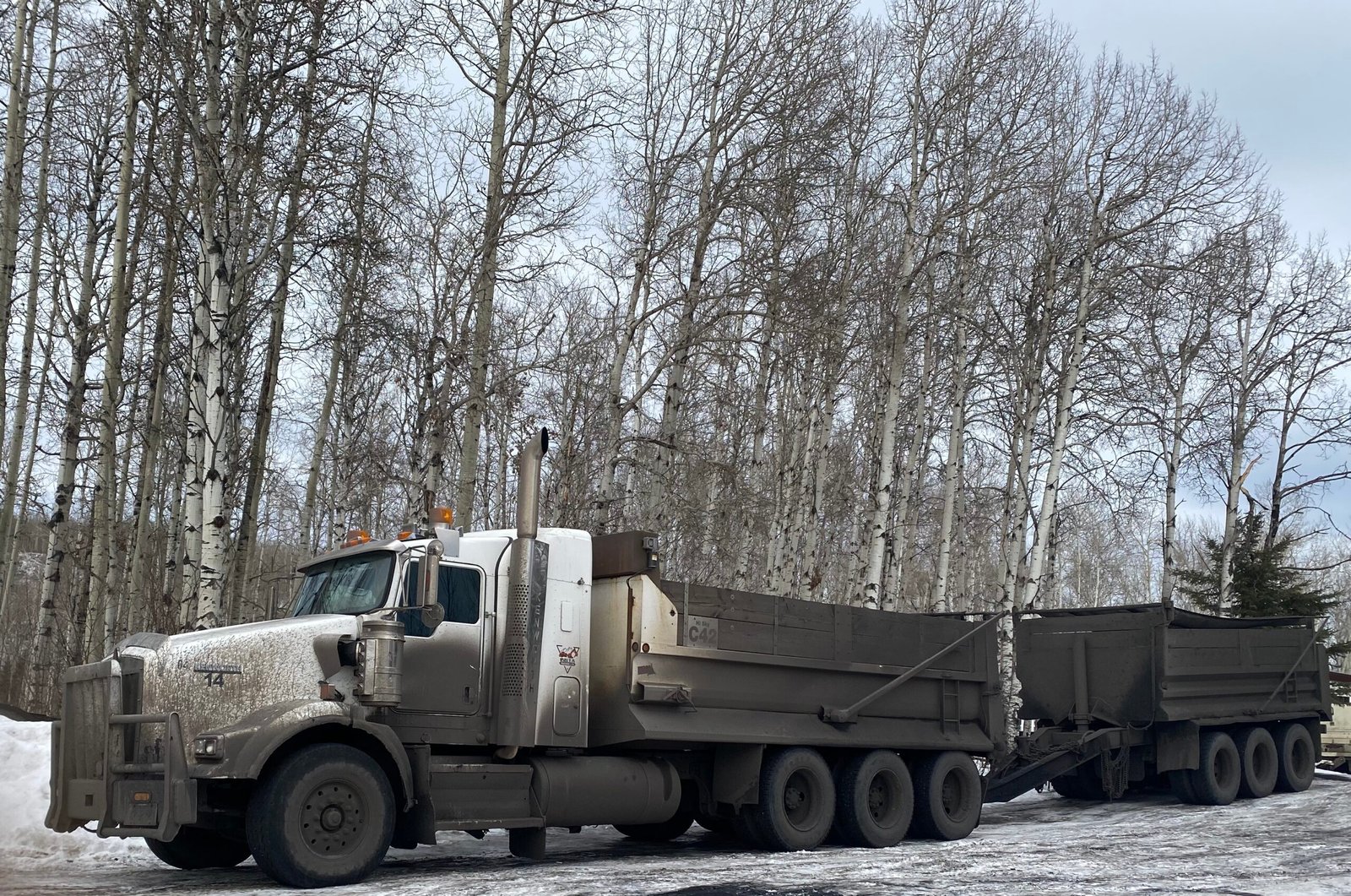 Insta Trucking hauling operations